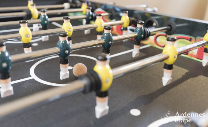 Maison de vacances  Spa pour 4 personnes en Ardenne