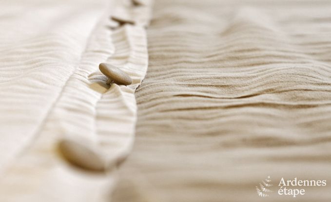 Maison de vacances  Spa pour 4 personnes en Ardenne