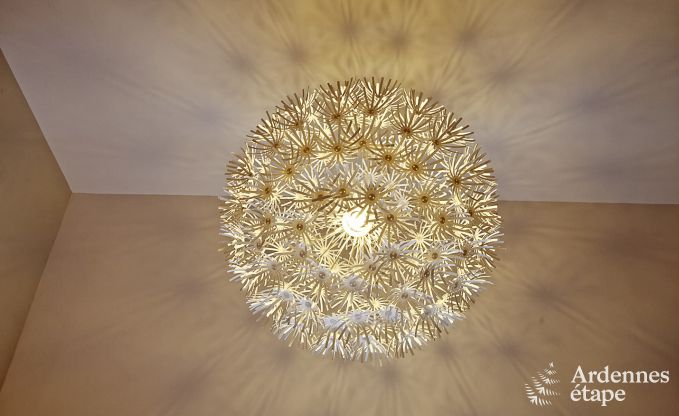 Maison de vacances  Spa pour 4 personnes en Ardenne