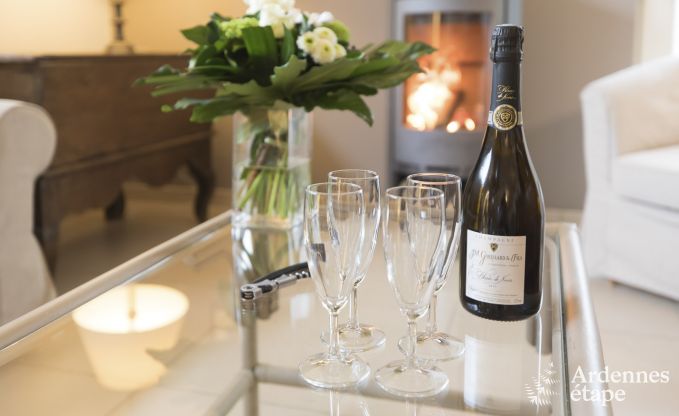 Maison de vacances  Spa pour 4 personnes en Ardenne