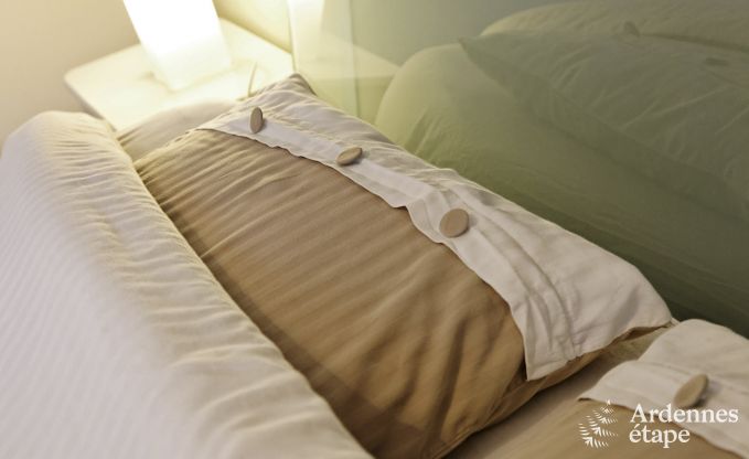 Maison de vacances  Spa pour 4 personnes en Ardenne