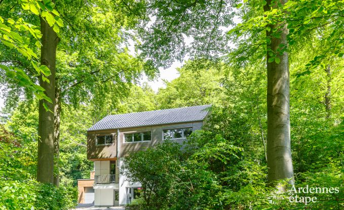 Villa de Luxe  Spa pour 15 personnes en Ardenne