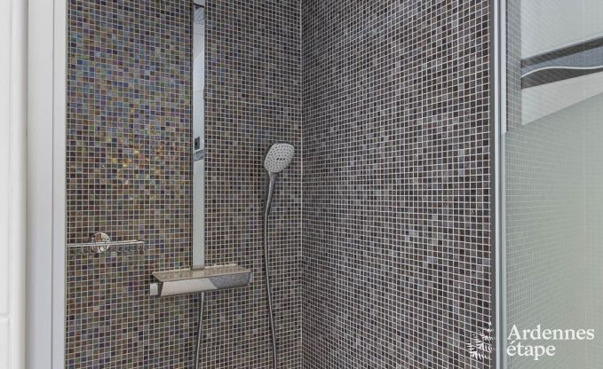 Villa de Luxe  Spa pour 13/14 personnes en Ardenne