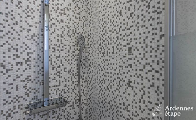 Villa de Luxe  Spa pour 13/14 personnes en Ardenne