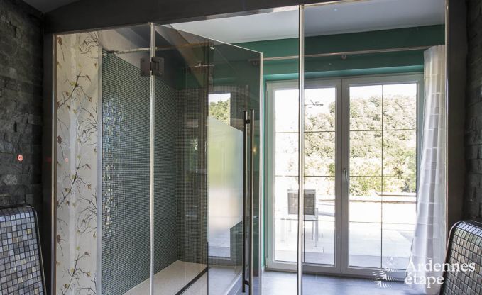 Villa de Luxe  Spa pour 13/14 personnes en Ardenne