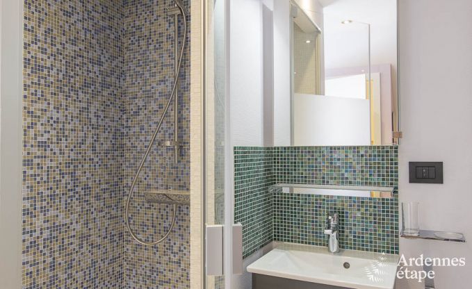 Villa de Luxe  Spa pour 13/14 personnes en Ardenne