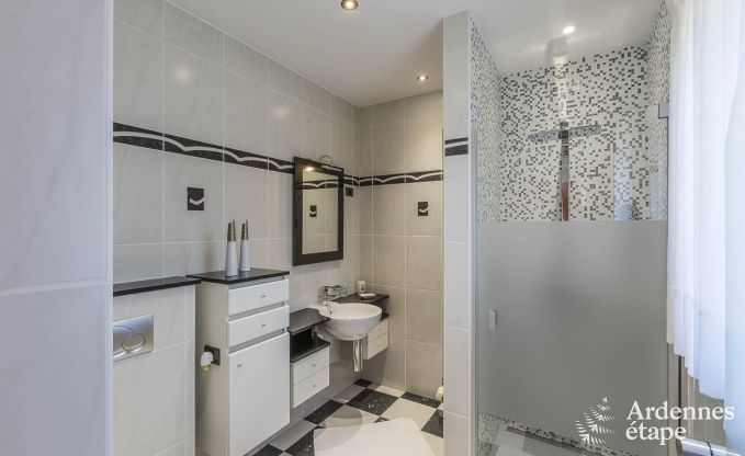 Villa de Luxe  Spa pour 13/14 personnes en Ardenne