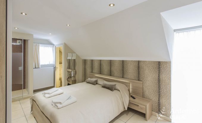 Villa de Luxe  Spa pour 13/14 personnes en Ardenne