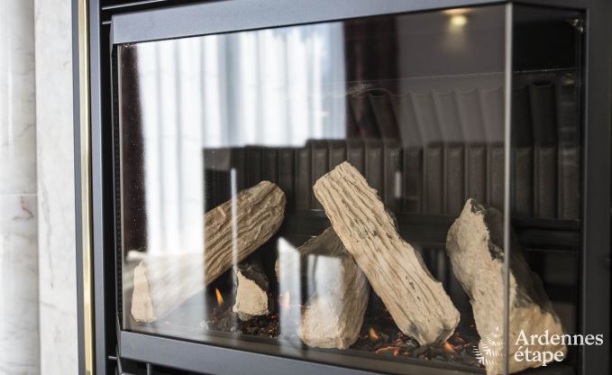 Villa de Luxe  Spa pour 13/14 personnes en Ardenne