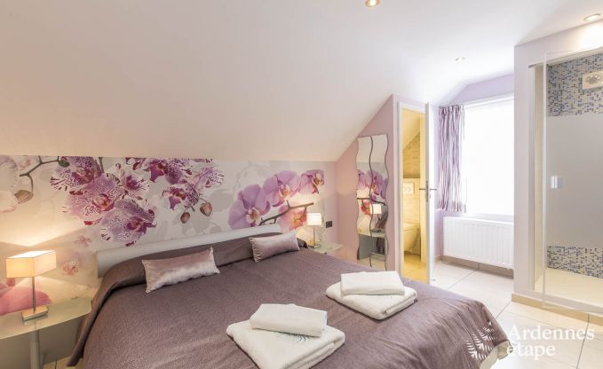 Villa de Luxe  Spa pour 13/14 personnes en Ardenne