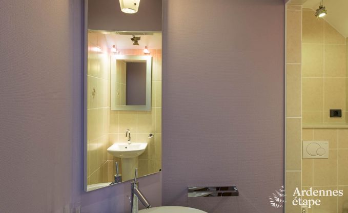 Villa de Luxe  Spa pour 13/14 personnes en Ardenne