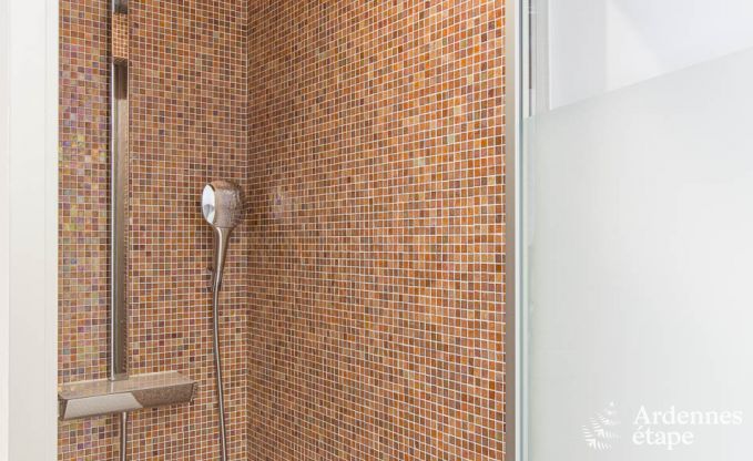 Villa de Luxe  Spa pour 13/14 personnes en Ardenne