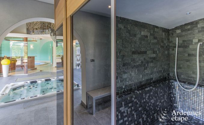 Villa de Luxe  Spa pour 13/14 personnes en Ardenne