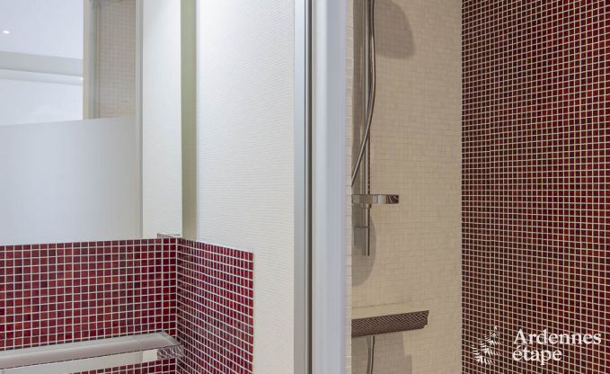 Villa de Luxe  Spa pour 13/14 personnes en Ardenne