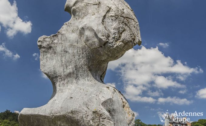 Villa de Luxe  Spa pour 13/14 personnes en Ardenne