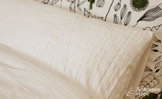 Villa de Luxe  Spa pour 9 personnes en Ardenne