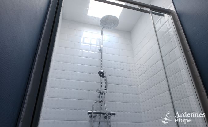 Villa de Luxe  Spa pour 9 personnes en Ardenne