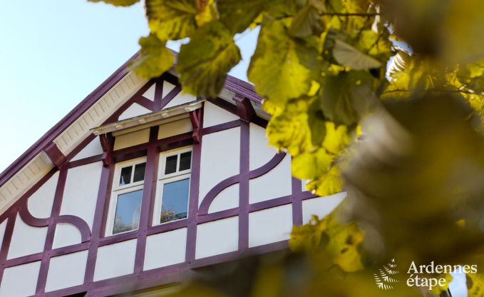 Villa de Luxe  Spa pour 9 personnes en Ardenne