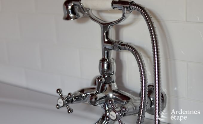 Villa de Luxe  Spa pour 9 personnes en Ardenne