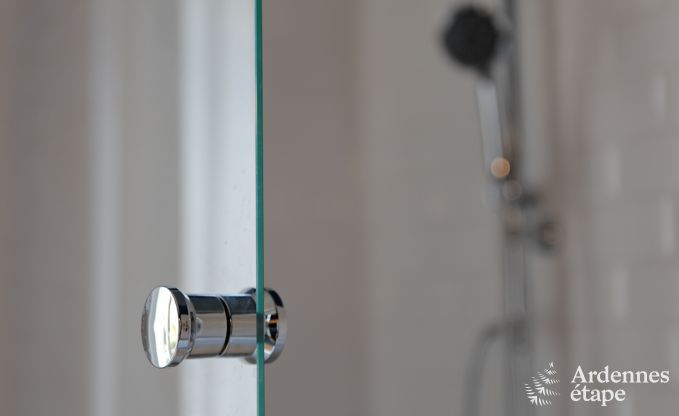 Villa de Luxe  Spa pour 9 personnes en Ardenne