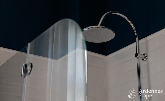 Villa de Luxe  Spa pour 9 personnes en Ardenne