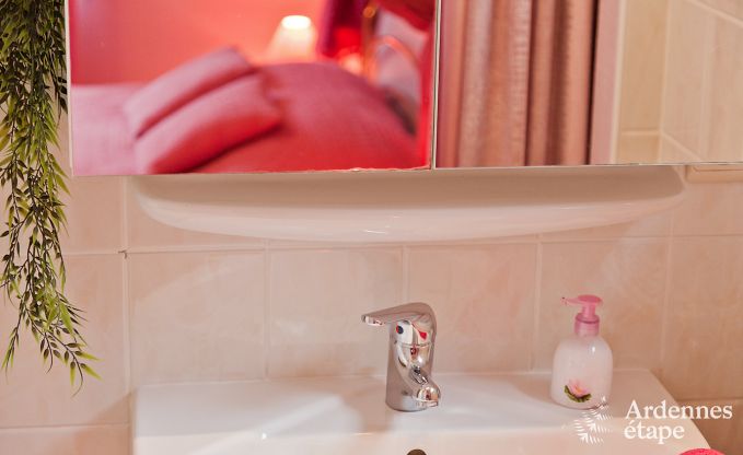 Villa de Luxe  Spa pour 15 personnes en Ardenne