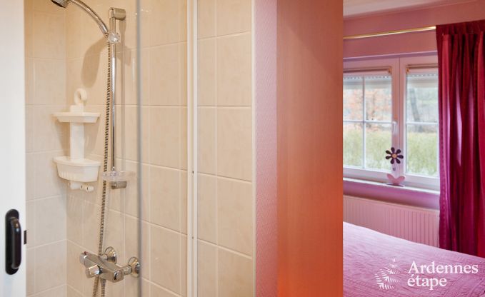 Villa de Luxe  Spa pour 15 personnes en Ardenne