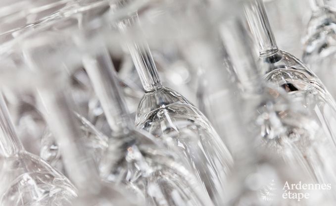 Villa de Luxe  Spa pour 15 personnes en Ardenne