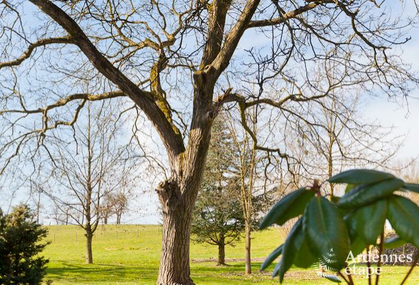 Maison de vacances  Sprimont pour 20 personnes en Ardenne