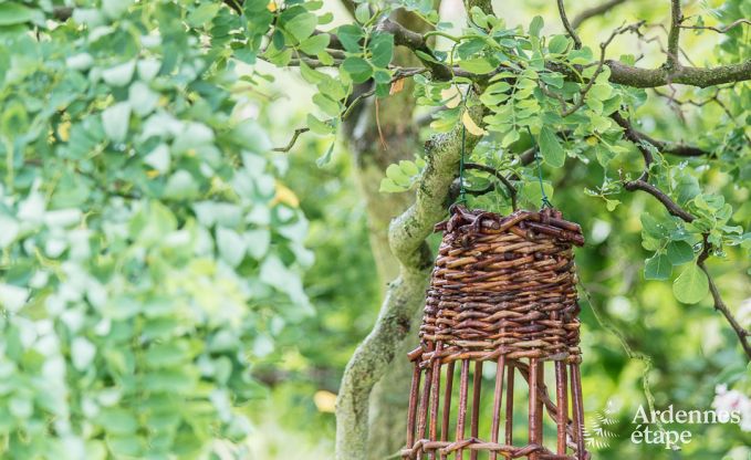 Maison de vacances  Sprimont pour 2/4 personnes en Ardenne