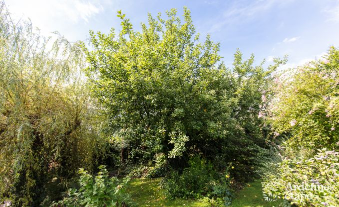 Maison de vacances  Sprimont pour 2/4 personnes en Ardenne