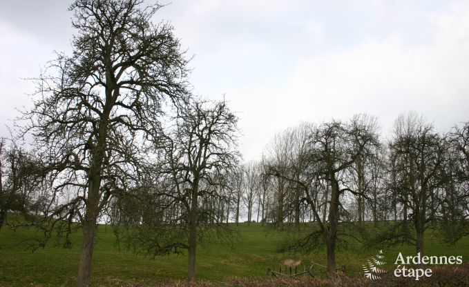 Maison de vacances � Sprimont pour 10 personnes en Ardenne