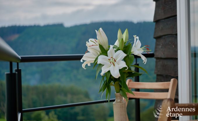 Chalet douillet pour 4 personnes  Stavelot, Hautes Fagnes