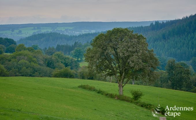 Chalet douillet pour 4 personnes  Stavelot, Hautes Fagnes