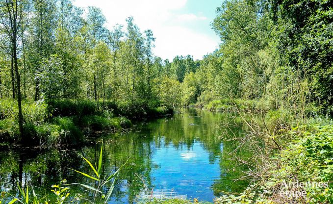Maison de vacances  Stavelot pour 5 personnes en Ardenne