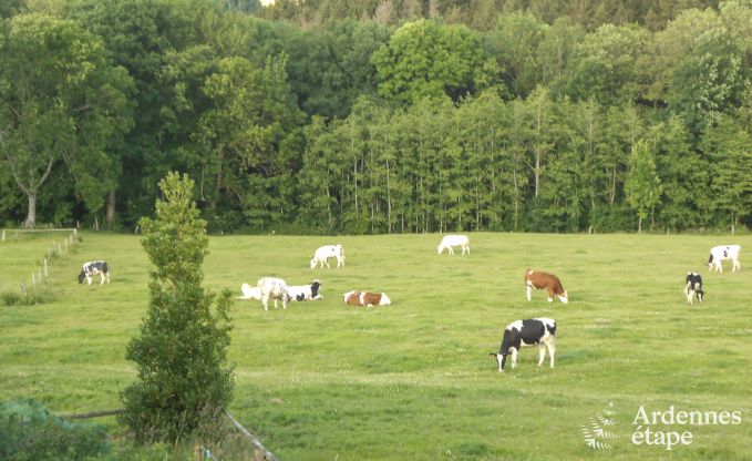 Séjour à la ferme pour 4 personnes à Stavelot en Ardenne