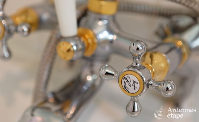 Ch�teau de luxe en Ardenne pour 28 personnes � Stavelot avec sauna, jacuzzi et aire de jeux