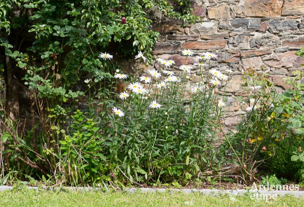 Villa de Luxe  Stavelot pour 14 personnes en Ardenne