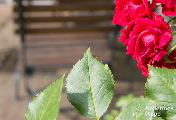Villa de Luxe  Stavelot pour 14 personnes en Ardenne