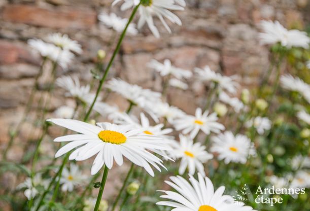 Villa de Luxe  Stavelot pour 14 personnes en Ardenne