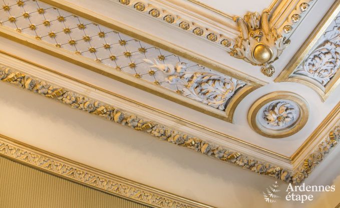 Villa de Luxe  Stavelot pour 14 personnes en Ardenne