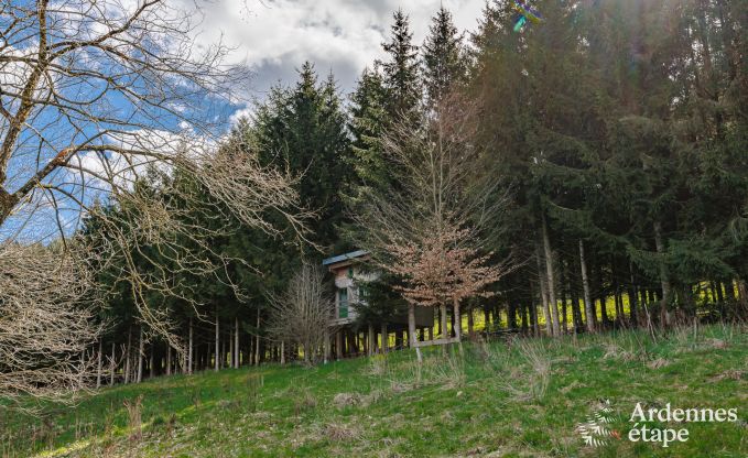 Maison de vacances à Stoumont pour 6 personnes en Ardenne