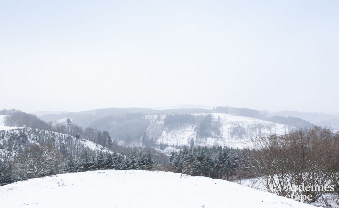 Villa de Luxe  Stoumont pour 19 personnes en Ardenne