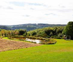 Villa de Luxe à Stoumont pour 14 personnes en Ardenne