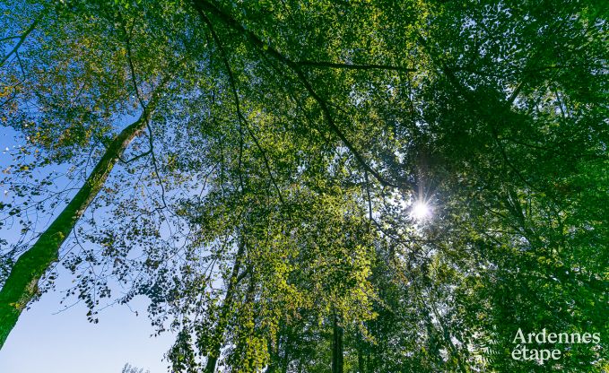 Location maison 6 personnes � Stoumont, Ardenne, 3 chambres, jardin priv�, terrasse avec barbecue, confort optimal