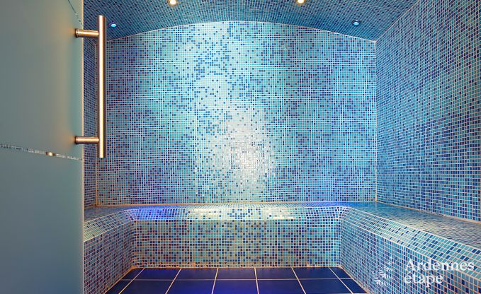 Villa de Luxe � Stoumont pour 24 personnes en Ardenne