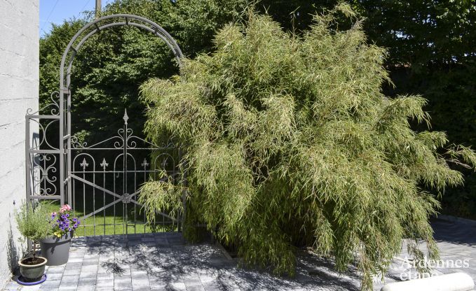 Maison de vacances  Tenneville pour 6 personnes en Ardenne