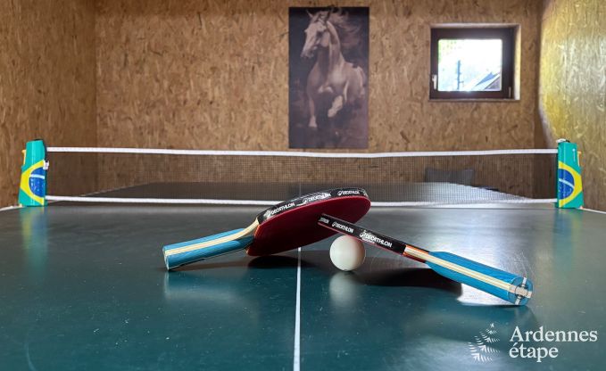 Villa de luxe � Theux pour 10 personnes avec salle de jeux, jacuzzi et proximit� de Spa-Francorchamps