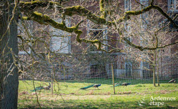 Villa de luxe � Theux pour 10 personnes avec salle de jeux, jacuzzi et proximit� de Spa-Francorchamps