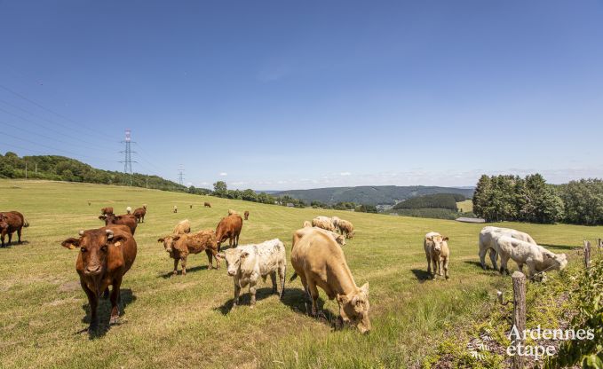 Gte insolite  Trois-Ponts pour 4 personnes en Ardenne